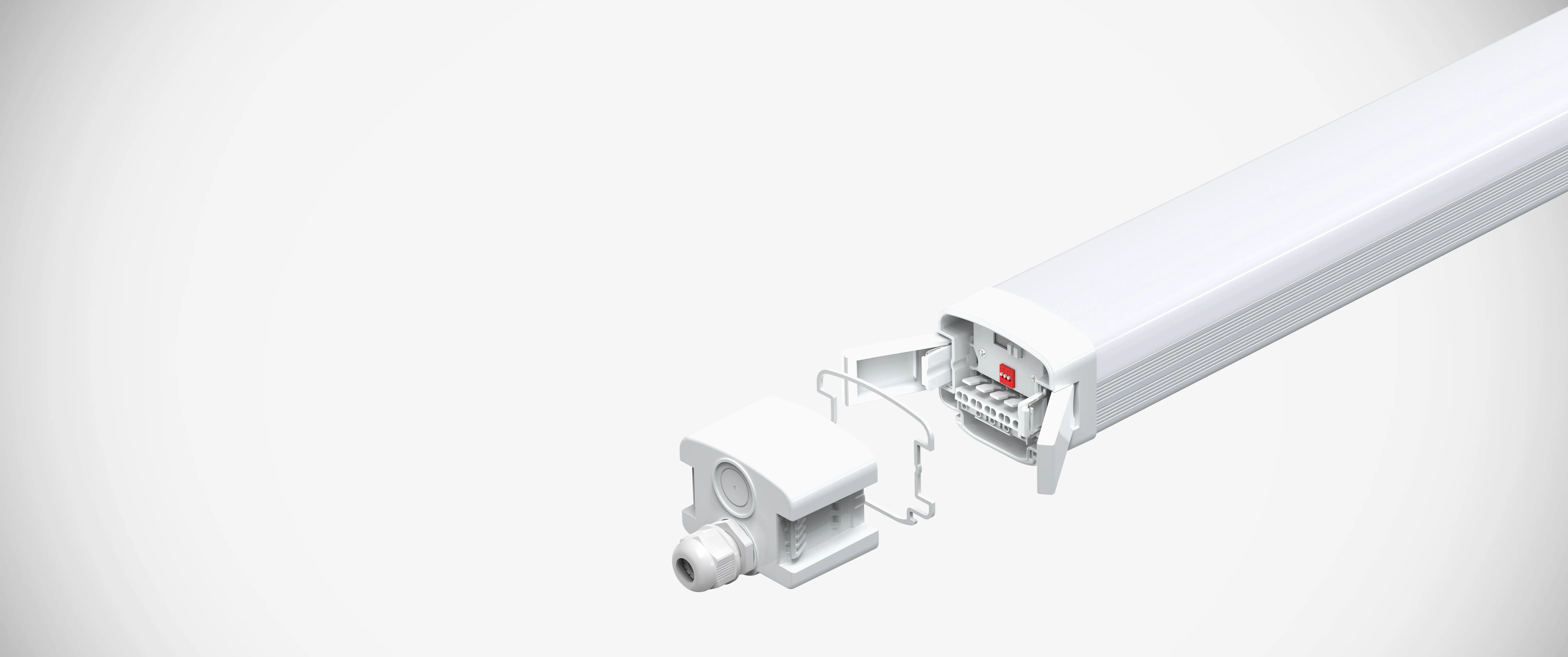 E-eplus-01.jpg